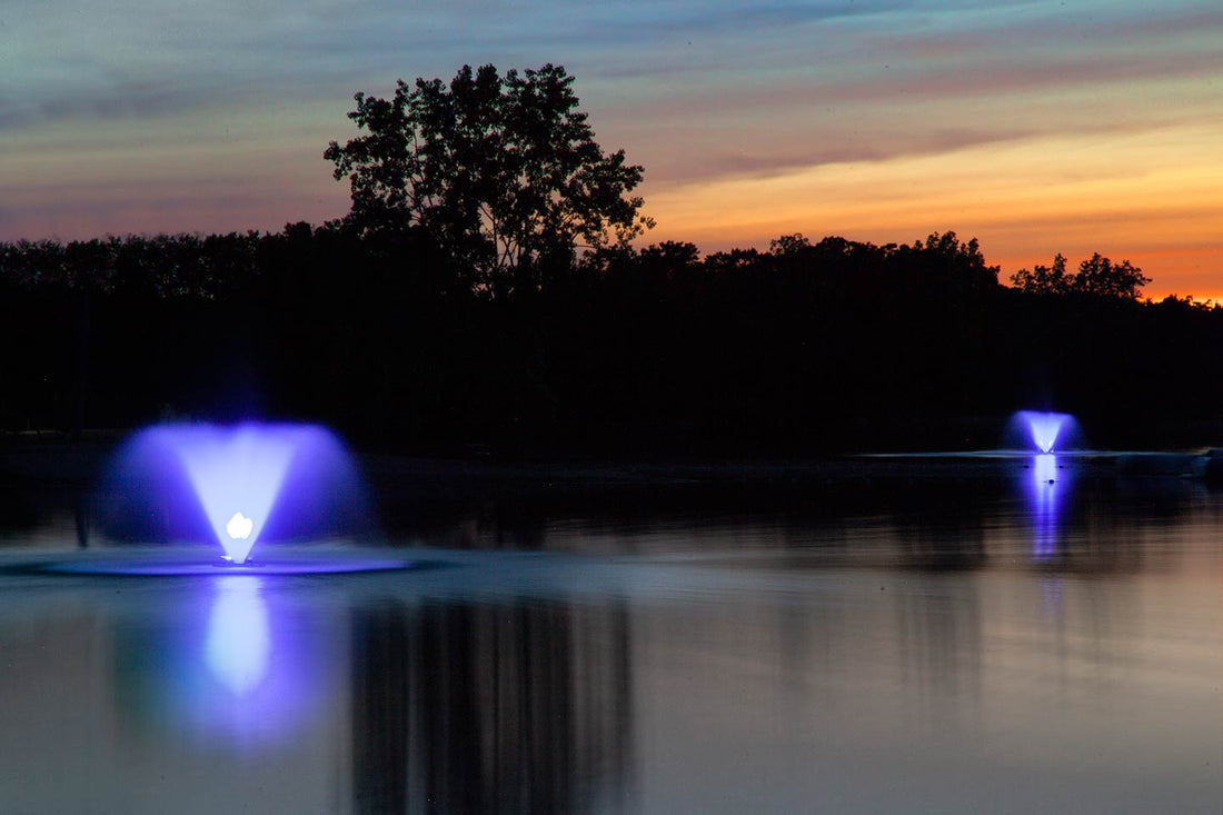 Scott Color-Changing LED Fountain Lights