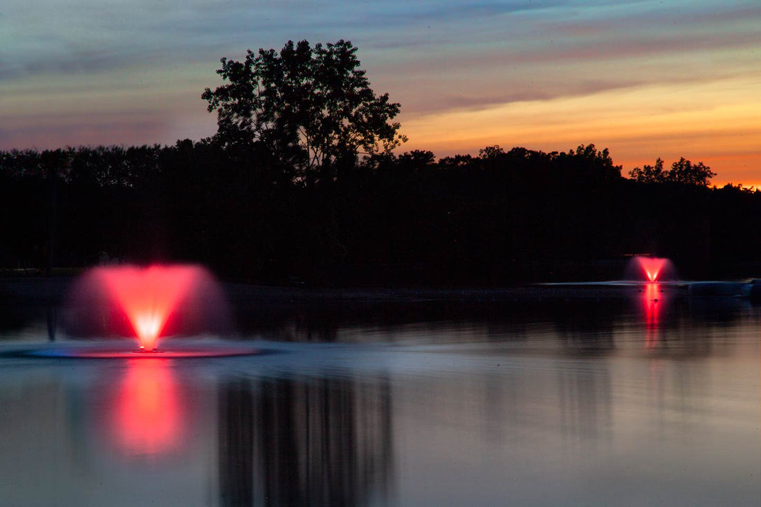 Scott Color-Changing LED Fountain Lights