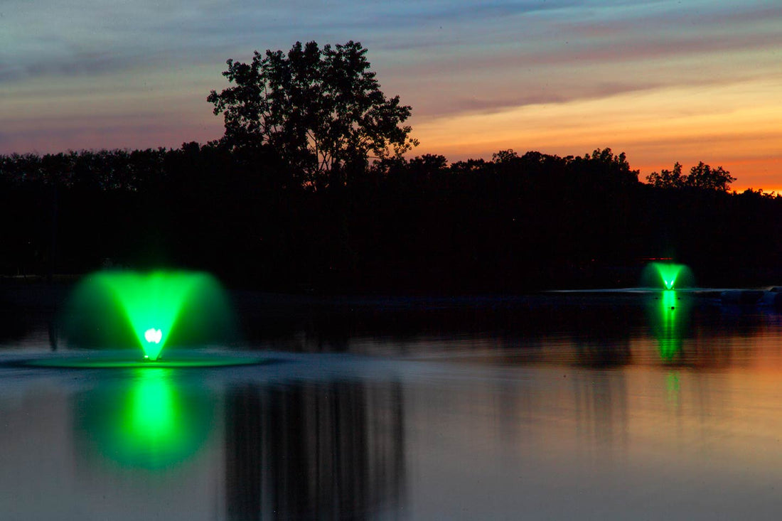 Scott Color-Changing LED Fountain Lights